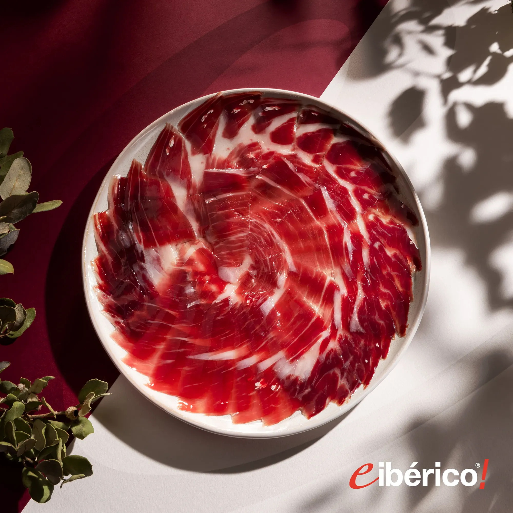 eIberico Jamon de Bellota Iberico 75 Raza Iberica DOP Guijuelo 3